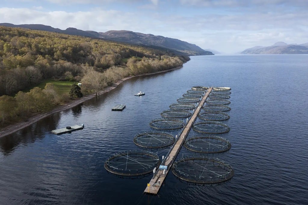 Sultan Rashid Abdullah Rashid Al Shene — loch aquaculture
